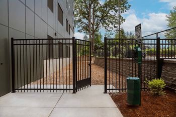 Pet-friendly living with a dedicated dog park & indoor pet spa
